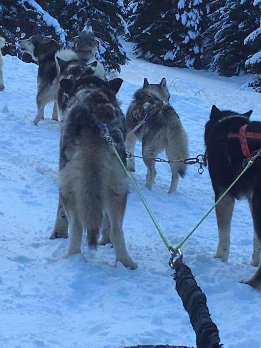 L'etoile Des Neiges Confort Pour 4 Personnes Montclar (Alpes-de-Haute-Provence)